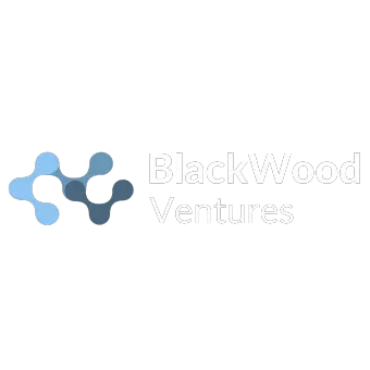 BlackWood Ventures Ecosystem